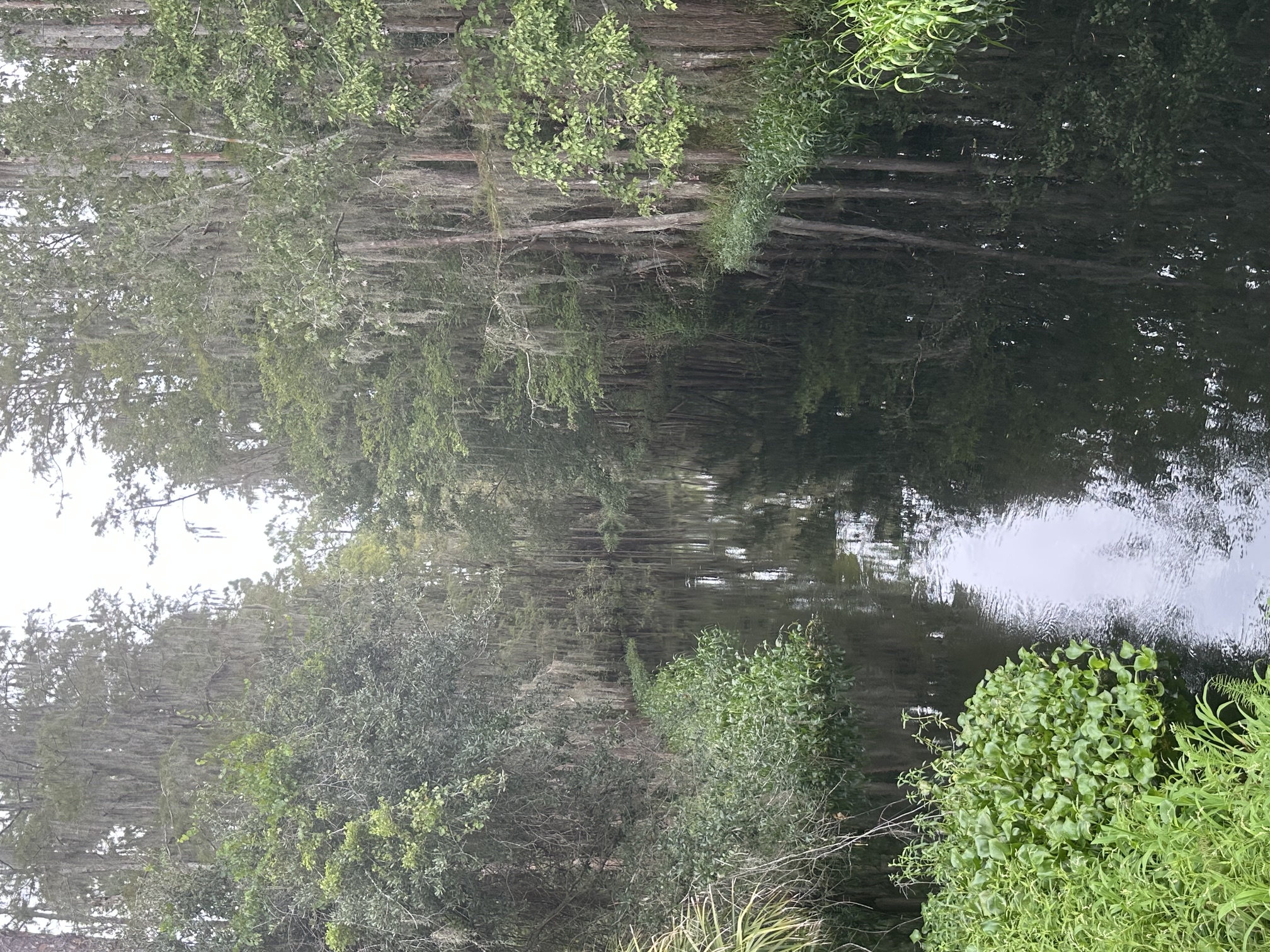 Tuscana project and Shingle Creek Basin conservation concerns in Orlando and Orange County, Florida