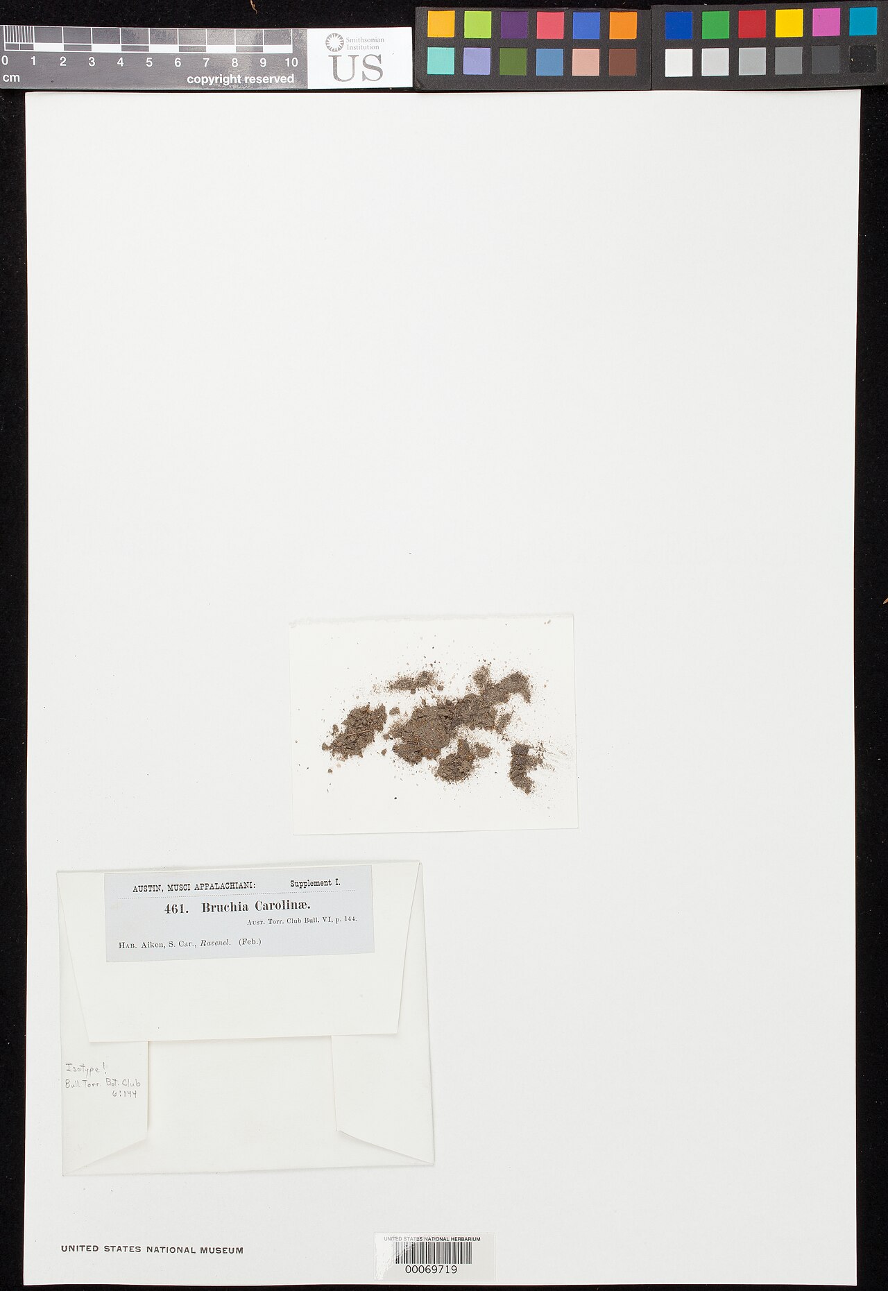 Bruchia carolinae