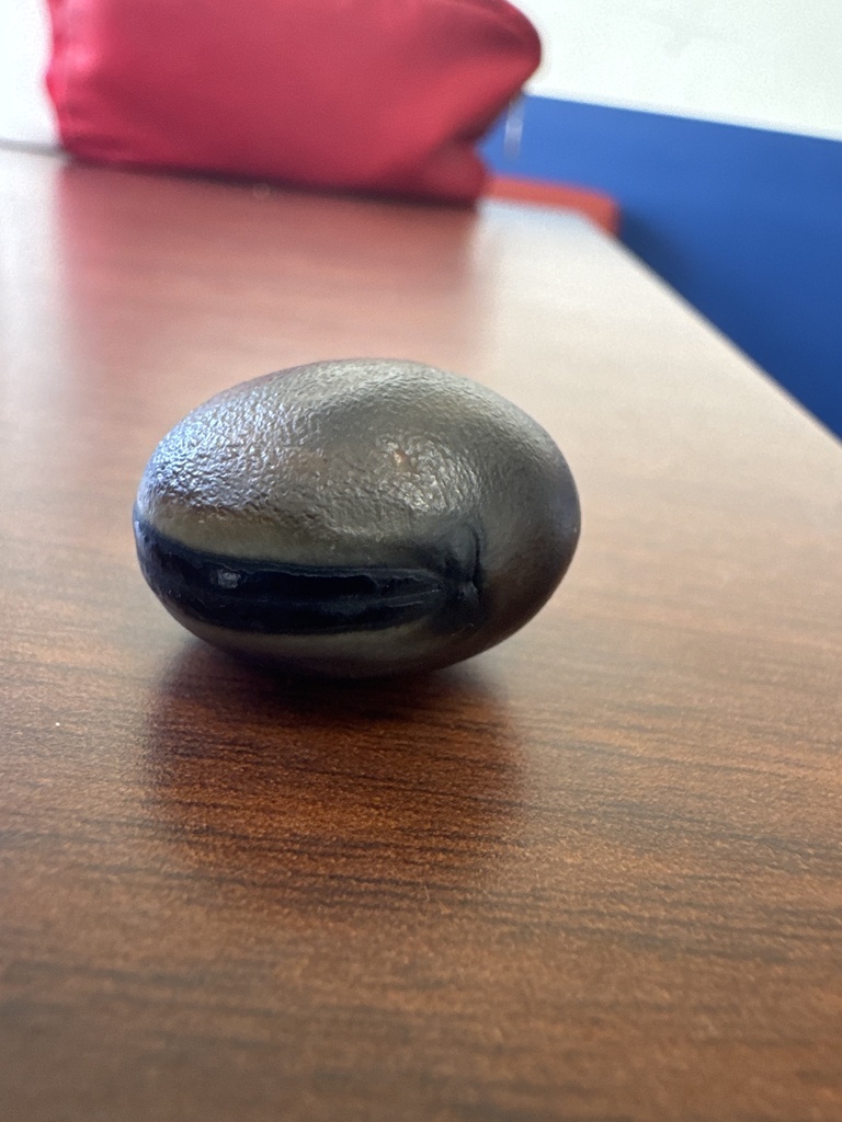 Mucuna sloanei